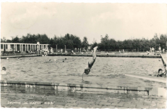 Kraggenburg - De Voorst - Zwembad3