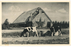 NOP - Boerderij11