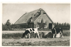 NOP - Boerderij5