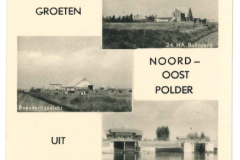 NOP - Groeten uit de Noordoostpolder19