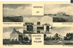 NOP - Groeten uit de Noordoostpolder20