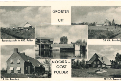 NOP - Groeten uit de Noordoostpolder22