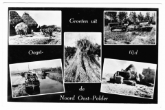 NOP - Groeten uit de Noordoostpolder3