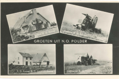 NOP - Groeten uit de Noordoostpolder8