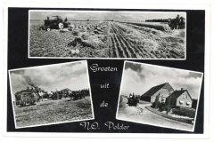 NOP - Groeten uit de Noordoostpolder9