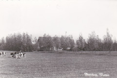 IMG_20250212_0054