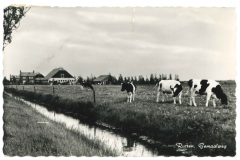 Rutten - Gemaalweg