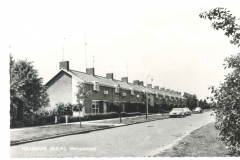 tollebeek_nimrodstraat_20120712_1024679555